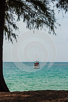 Speed boat moored at shore side, view from forest beach. Seascape view with forest tree and boat. Peaceful beach with yacht and t