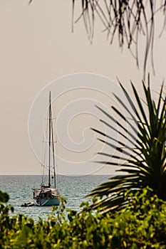 Speed boat moored at shore side, view from forest beach. Seascape view with forest tree and boat. Peaceful beach with yacht and t