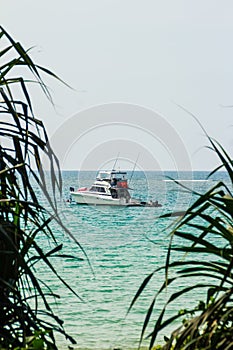 Speed boat moored at shore side, view from forest beach. Seascape view with forest tree and boat. Peaceful beach with yacht and t