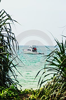 Speed boat moored at shore side, view from forest beach. Seascape view with forest tree and boat. Peaceful beach with yacht and t