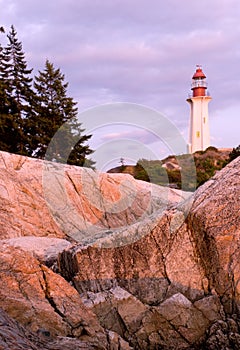 Speed boat ob violet sunset