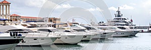 Speed boats at harbor. Power boats moored in marina. Sea coast pier