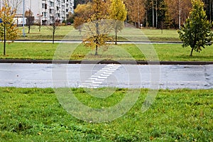 Speed bump on the road among grass and trees