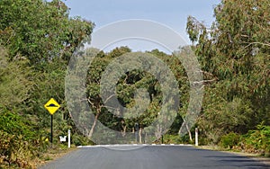 Speed bump sign in yellow color