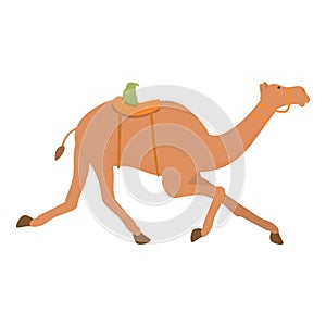 Speed camel run icon cartoon vector. Riding farming