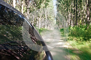 Speed driving on dirt road through the forest