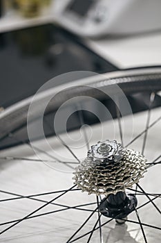 Speed gear crowned tooth bicycle rear wheel detail with rims and spokes