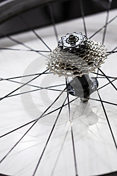 Speed gear crowned tooth bicycle rear wheel detail with rims and spokes