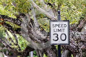 Speed Limit 30 MPH Sign