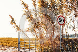 A speed limit road sign "50"