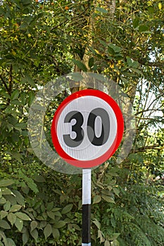 Speed limit road sign to 30 against the background of green trees and shrubs