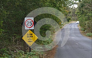 Speed limit sign of 25 km per hour