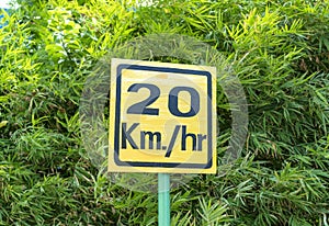 Speed limit sign on a background of green trees