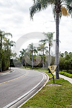 Speed Limit Sign on Curving Road Through Tropics