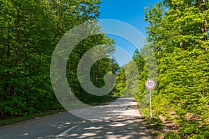 Speed limit sign on forest road