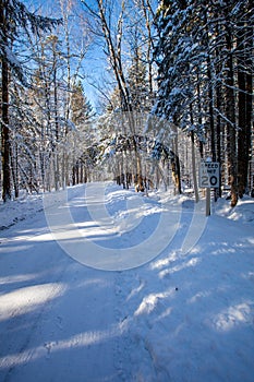 Speed limit sign next to a road winding through the trees in Council Grounds State Park, Merrill, Wisconsin after a snow storm