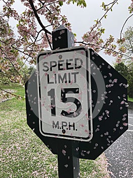 Speed limit sign at spring