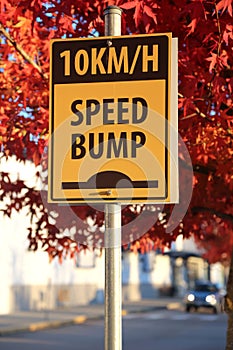 Speed pumper traffic sign