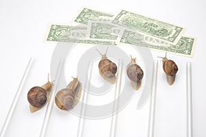 Speed to achieve financial well-being. snails run to the finish line with money. breakthrough and perseverance in the business.