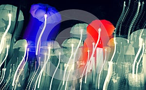 Speed of umberlls neon light