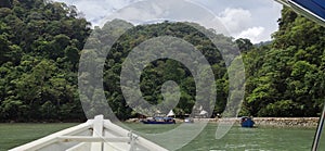 Speedboat mangrove Malaisie