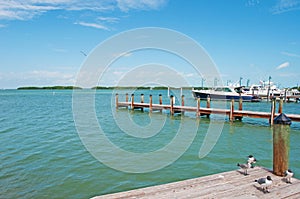 Speedboats, pier, seagulls, birds, Key West, Keys, Cayo Hueso, Monroe County, island, Florida photo