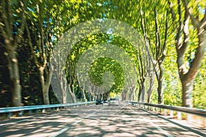 Speeding Car On A Highway, Country Asphalt Road. Motion Blur Background