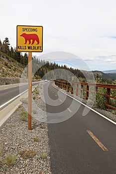 Speeding kills wildlife road sign