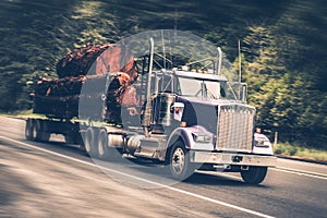 Speeding Logging Truck