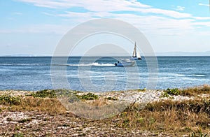 Speeding motorboat and catamaran sailboat in bay with faint mountains in distance and beach with grass and wildflowers in