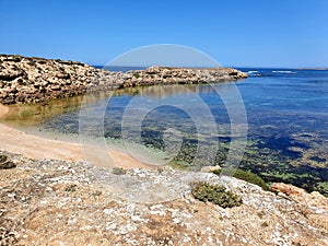 Speeds Point: Great Southern Reef photo