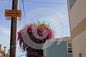 Speedway Street Sign in Venice, California photo