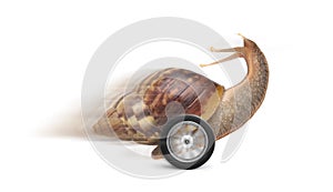 Speedy garden snail with wheel and motion blur