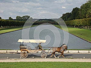 Speedy Horse Carriage in Versaille