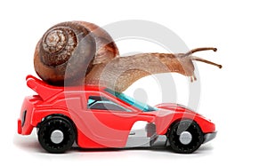 Speedy snail like car racer. Concept of speed and success. Wheels are blur because of moving. Isolated white background