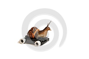 Speedy snail on wheels, driving, isolated on white background