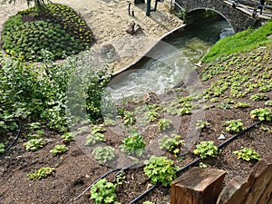 SpektakulÃ¤re schÃ¶ne Wildwasserrutsche