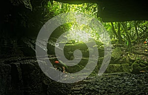 Speleologist Descending Into Mayei Cave