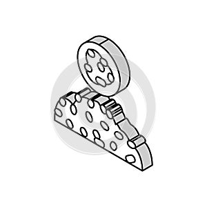 spelled groat isometric icon vector illustration