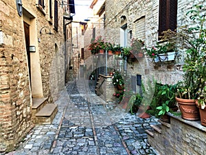 Spello town in Umbria region, Italy. Splendour, time, history and tourism photo