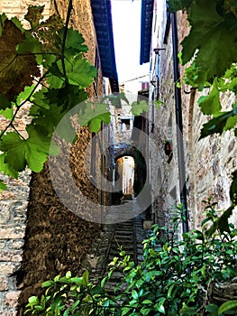 Spello town in Umbria region, Italy. Splendour, time, history and tourism photo