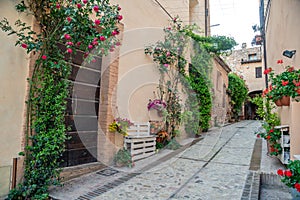 Traditional italian medieval alley and buildings in the historic center of beautiful town of Spello, in Umbria Region, Italy