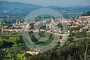 Spello medieval village skyline. Perugia, Umbria, Italy, Europe