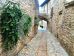 Spello town in Umbria region, Italy. Splendour, time, history and tourism