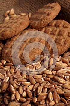 Spelt cookies on yuta photo