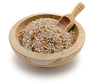 Spelt, farro, primitive wheat