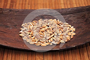 Spelt grains