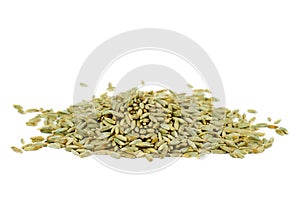 Spelt grains isolated on white