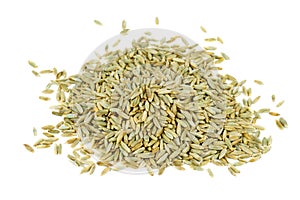 Spelt grains isolated on white