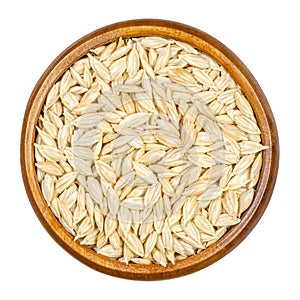 Spelt grains, seeds with outer husk in wooden bowl